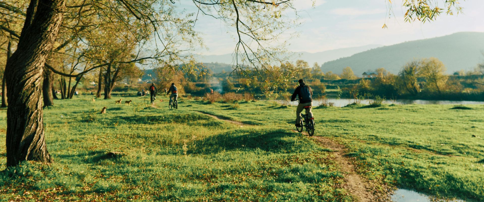 Green Gate - Bio Packaging