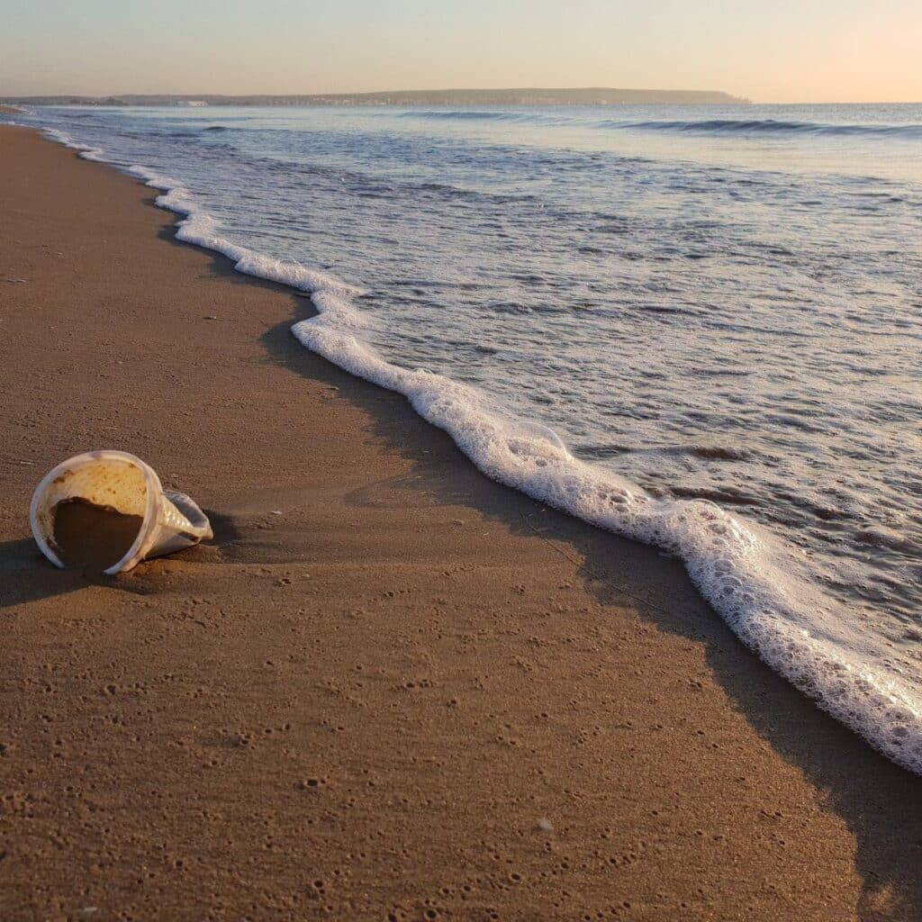 La fine della plastica monouso