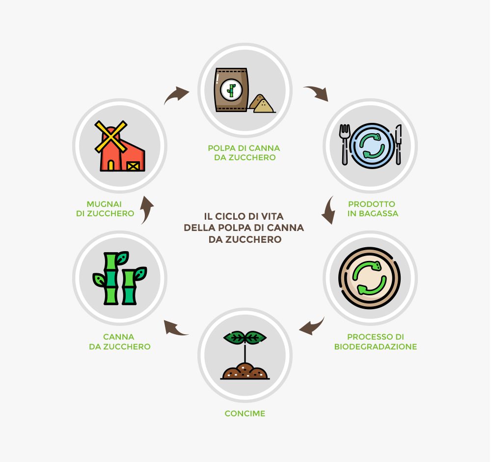 ciclo-di-vita-polpa-di-canna-da-zucchero-bagassa