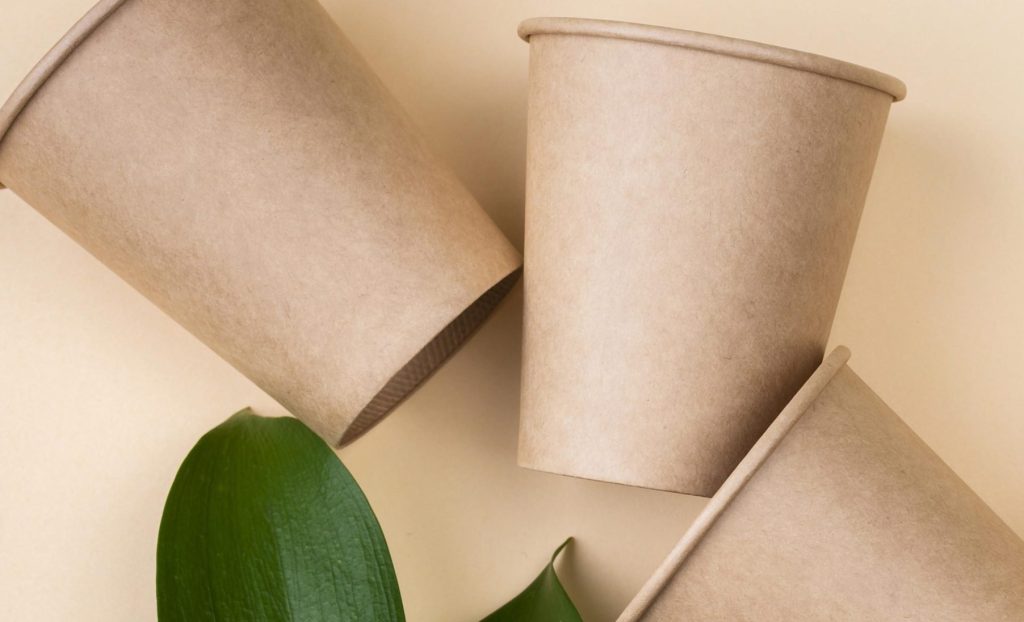 bicchieri usa e getta compostabili