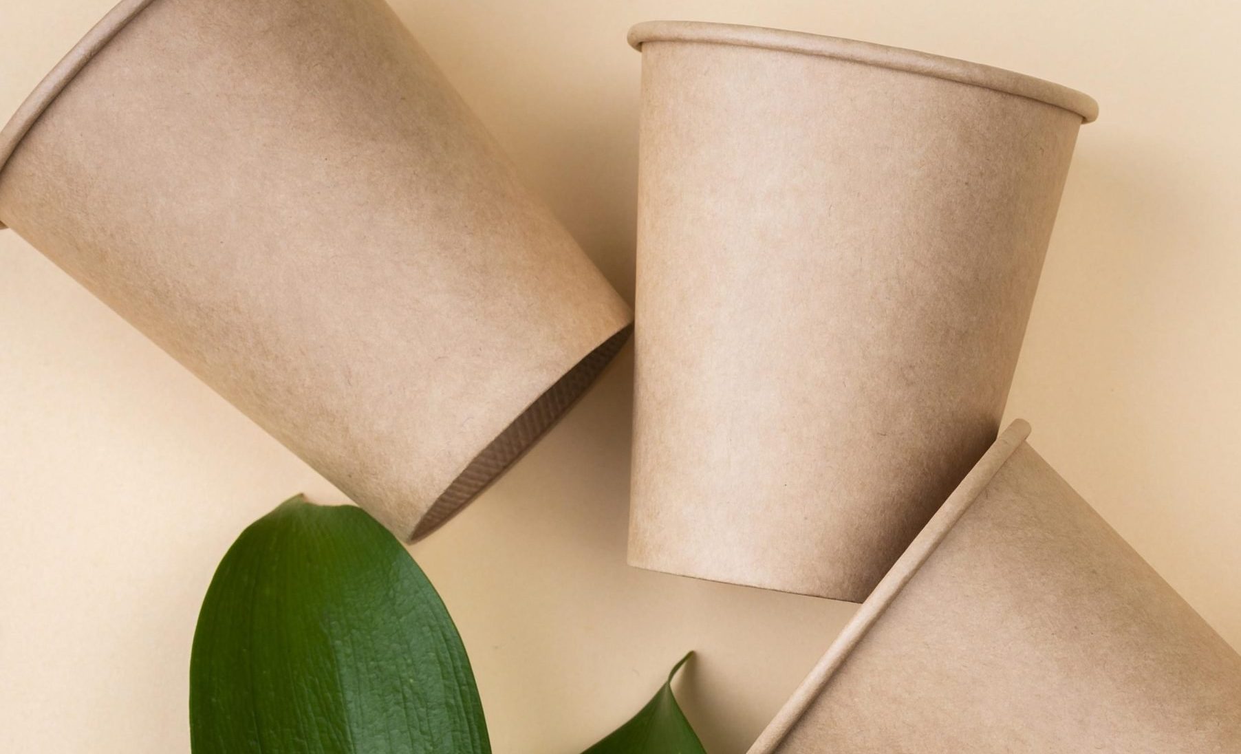 bicchieri usa e getta compostabili