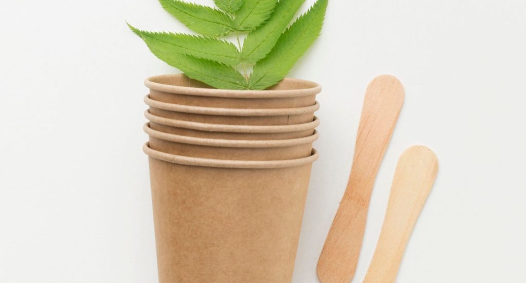 bicchieri biodegradabili