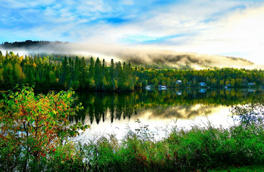 biodiversità ambiente